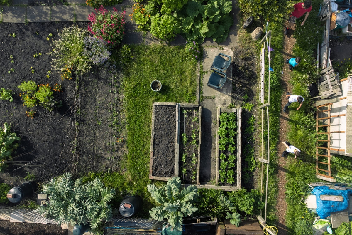 รับจดบริษัท แบบเศรษฐกิจพอเพียง เปิดการค้า จัดตั้ง ที่ไหน โทร.0819318341