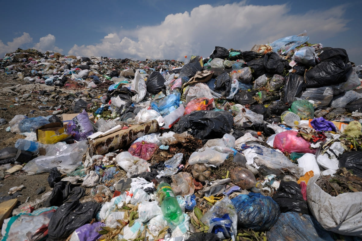 รับจดบริษัท ขยะส่งออก เปิดการค้า จัดตั้ง ที่ไหน โทร.0819318341